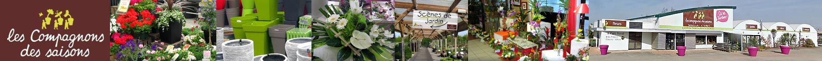 Jardinerie magasin à Plabennec : les Compagnons des saisons